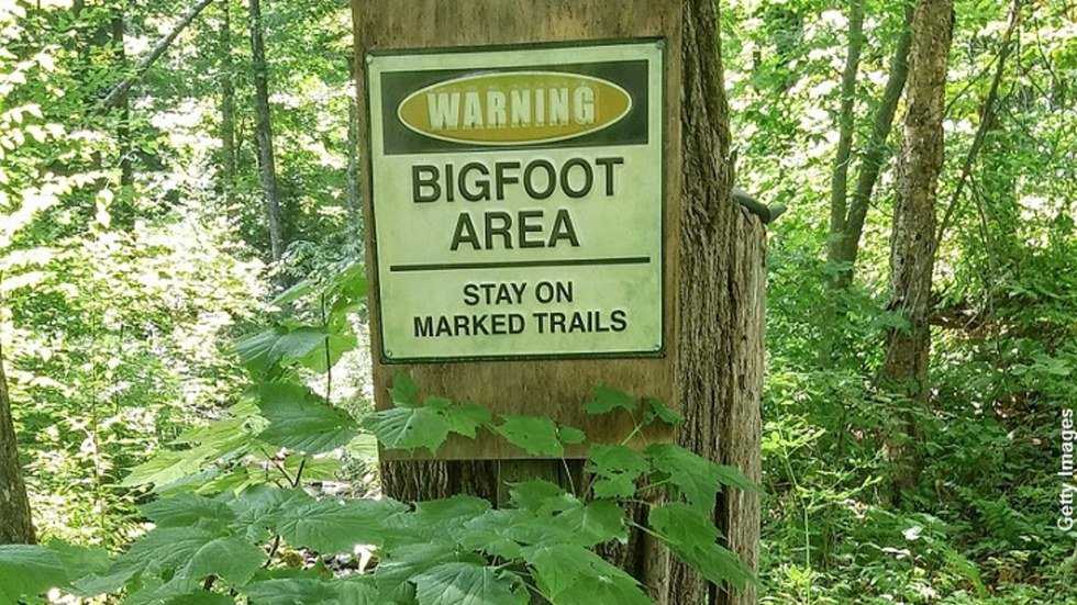 Bigfoot: What We Believe