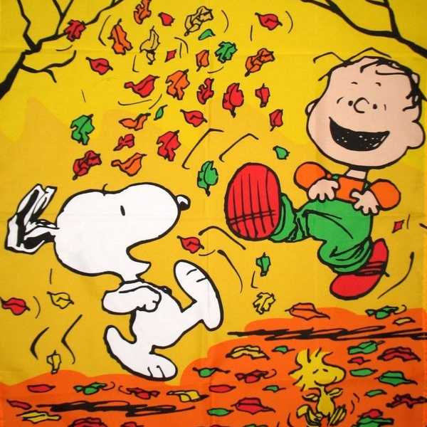 5 Things to Do When the Leaves Fall