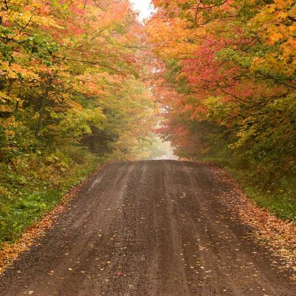 9 Fall Activities New England Has To Offer