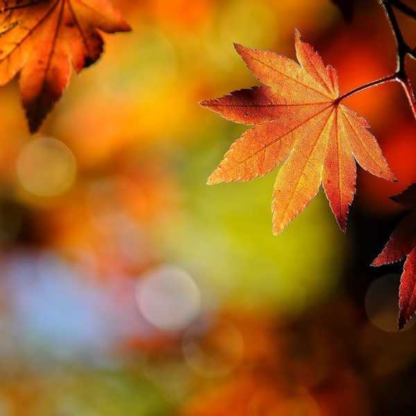 Why I've Fallen In Love With Fall