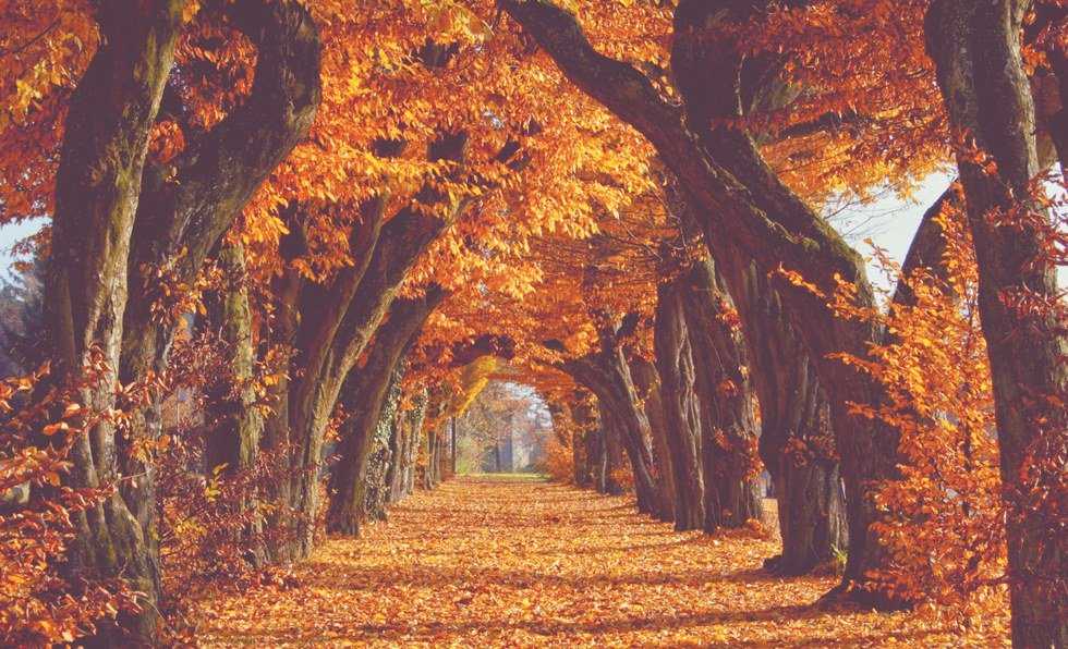 Fall Has Fallen Upon Us!