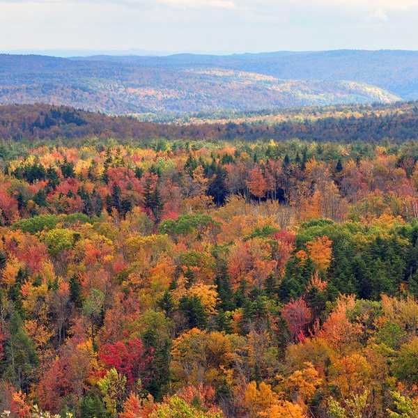 11 Things I Miss About Vermont