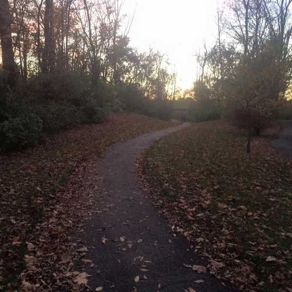 5 Songs For The Fall Season