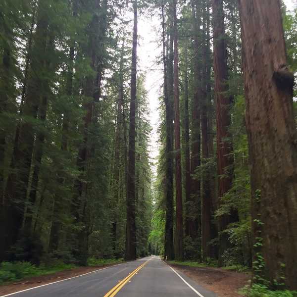 How To Avoid Feeling Like A Blob While On A Road Trip