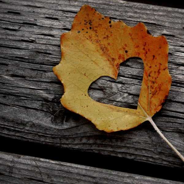 Why I Am So Excited For Fall