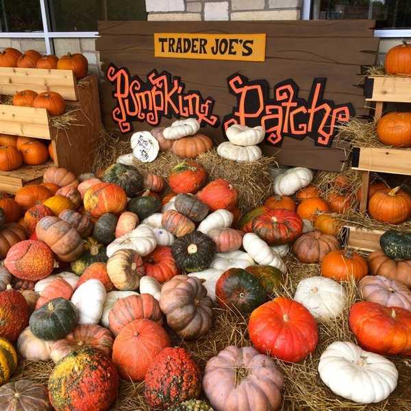 Trader Joe's Are The Pumpkin Pros