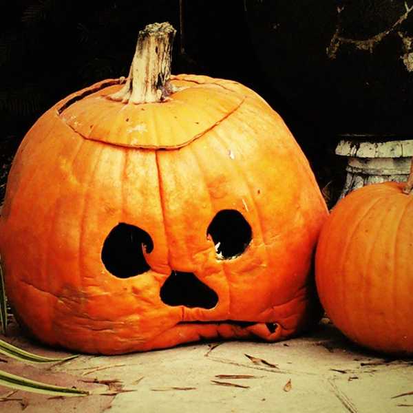 Why Fall is the Worst Season of ALL TIME