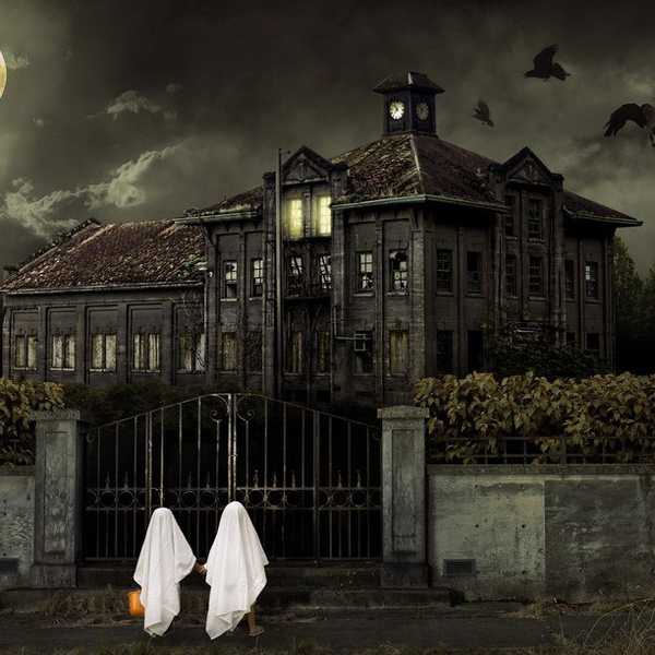 Fall In Love: Horror Movies