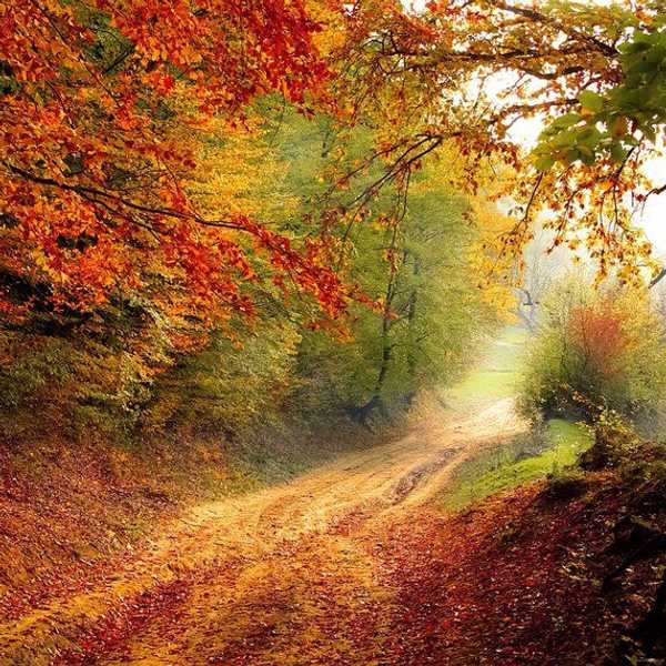 12 Best Things About Fall