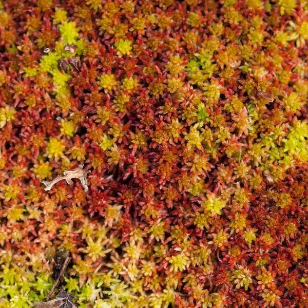 Your Guide To The Beginning Of Fall