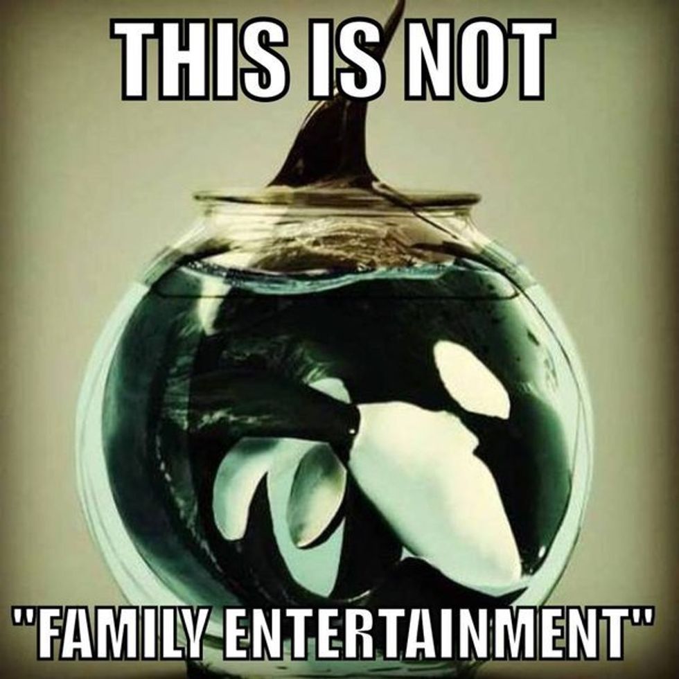 Sickening, Slimy, Stupid Sea World