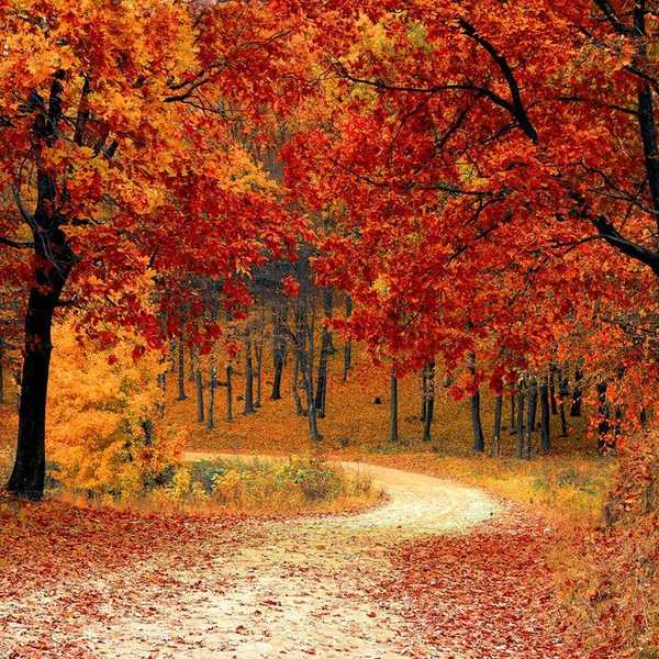 10 Of The Best Things About Fall