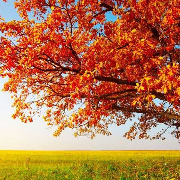 The Ultimate October Bucket List