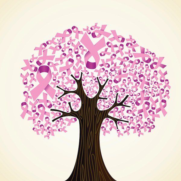 A Tribute To Breast Cancer Fighters, Survivors, And Those Who Have Passed On