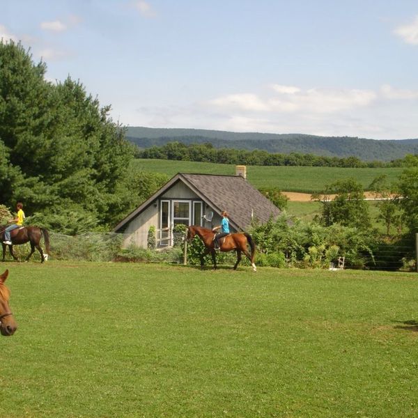6 Life Lessons I Learned at the Barn