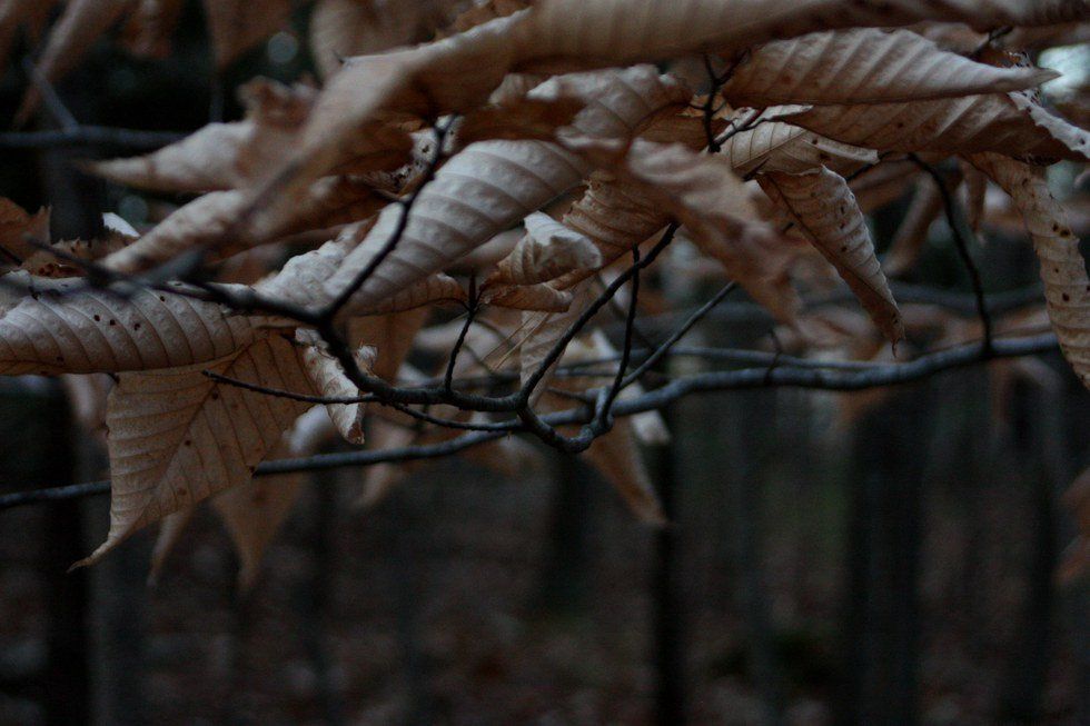 The Struggle Of Mental Illness