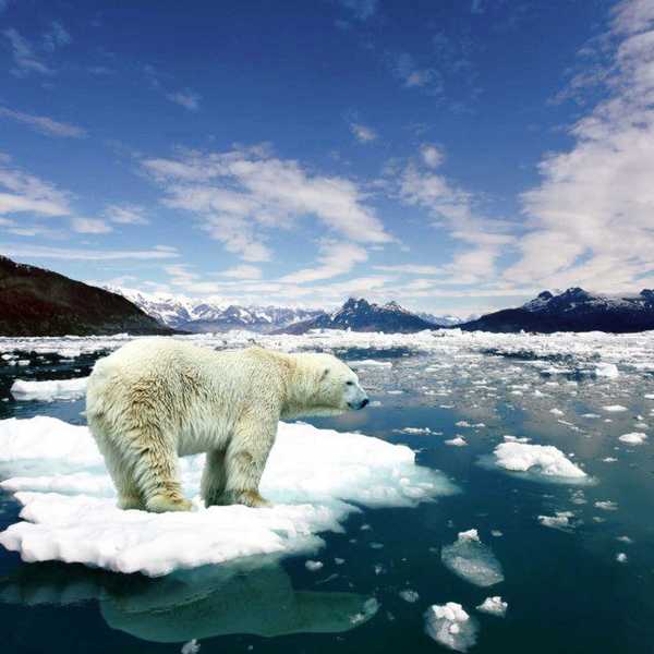 10 Thoughts I Have When I Hear 'Climate Change Is A Hoax'