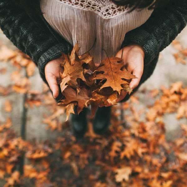 How To Make the Most Of Fall