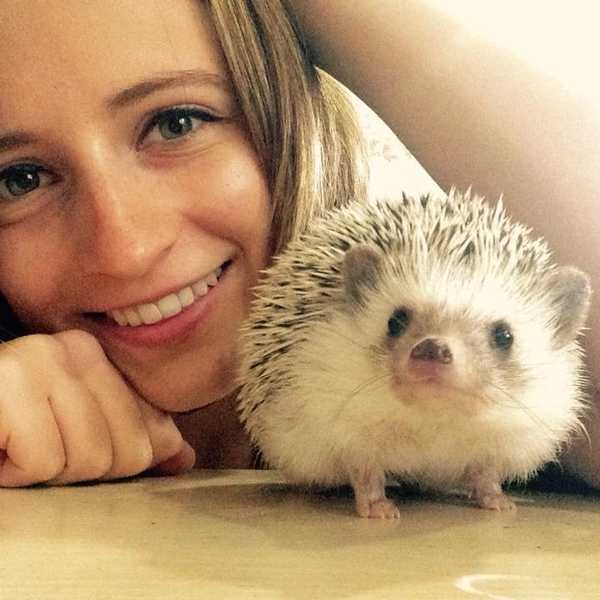 My Bestfriend, Riley The Hedgehog