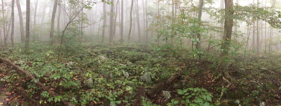 The Satisfaction Of Not Having Service