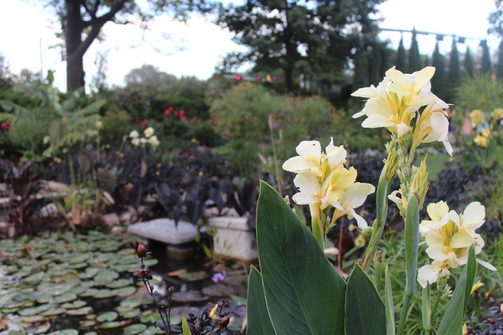 Connecting with Nature