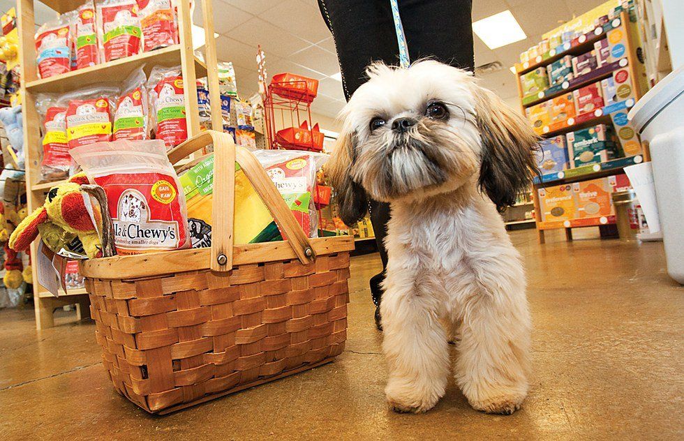Pros and Cons of Working at a Pet Store