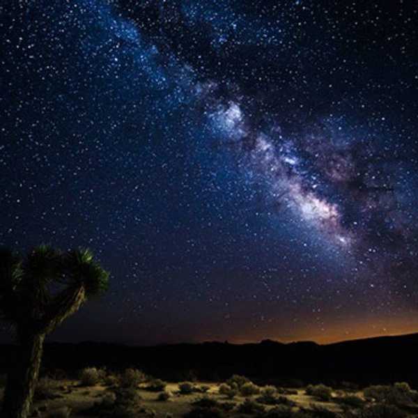 How I Lost My Heart To Nature
