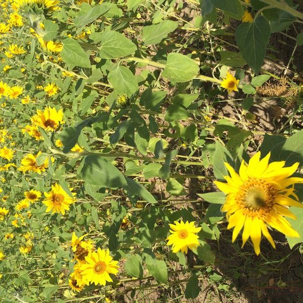 The Kindness Diaries, Part Two: No I Am Not A Doormat