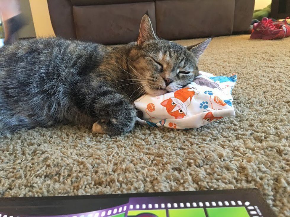 An Open Letter To My Furry Best Friend