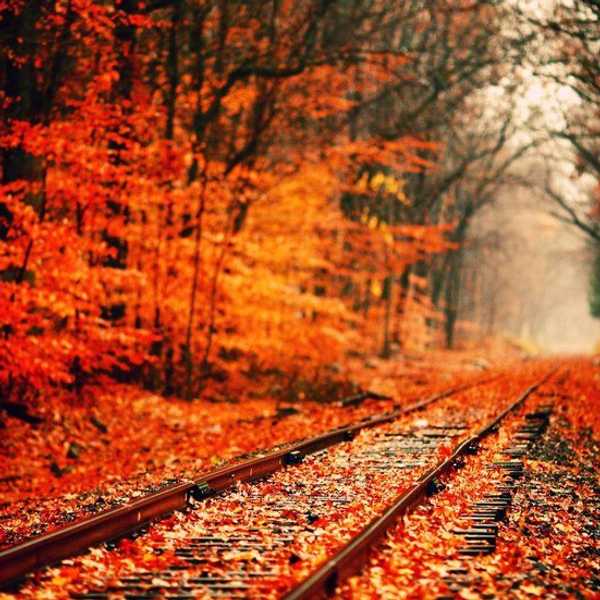50 Reminders For This Season Of Change