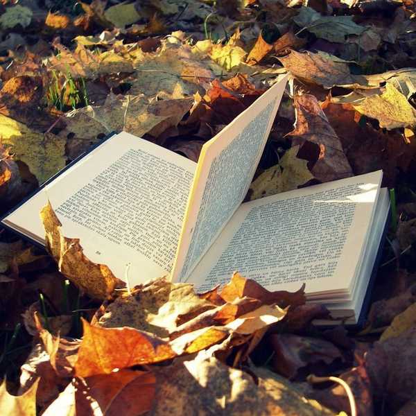 10 Books To Read During These Cozy Autumn Days