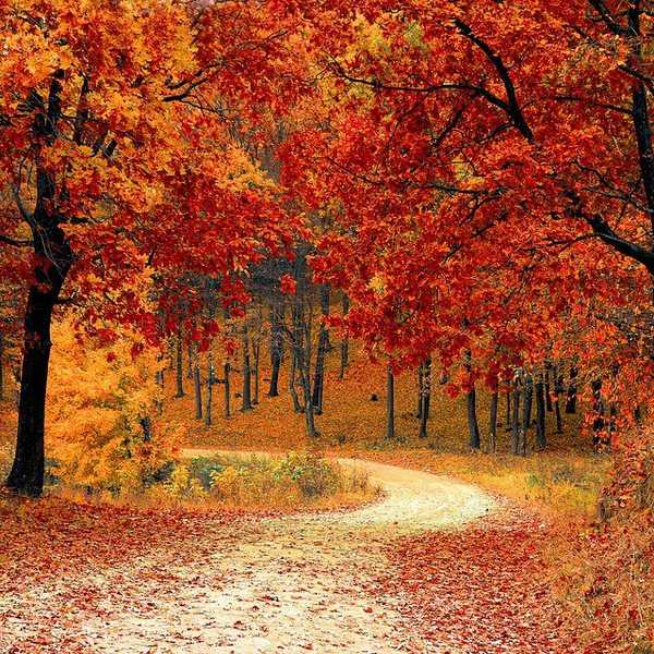 8 Reasons Why Fall Is Arguably The Best Season