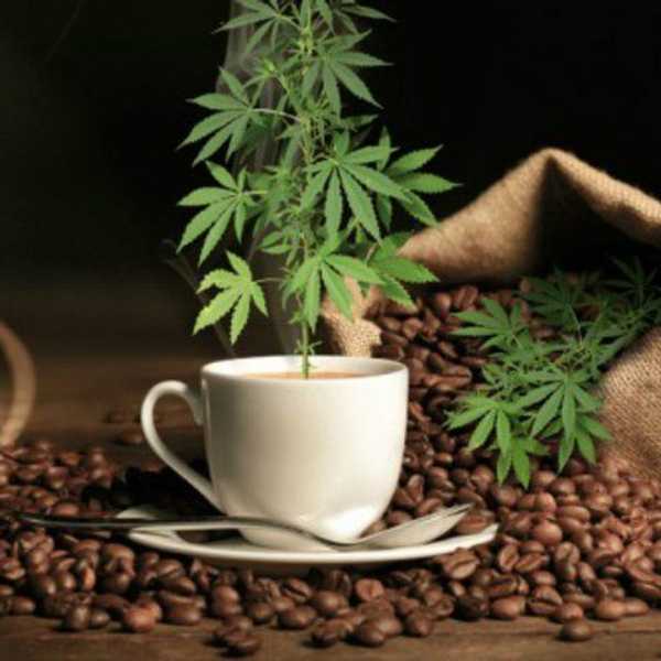 Doing Drugs Can Be Cheaper Than Doing Starbucks