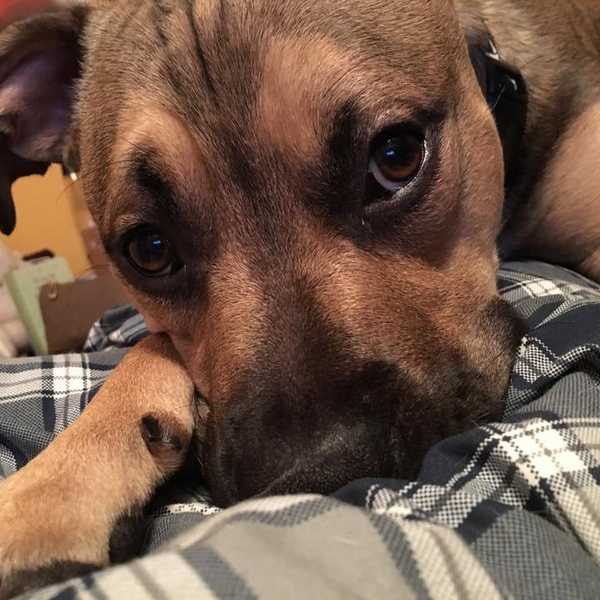 A Message To Montreal