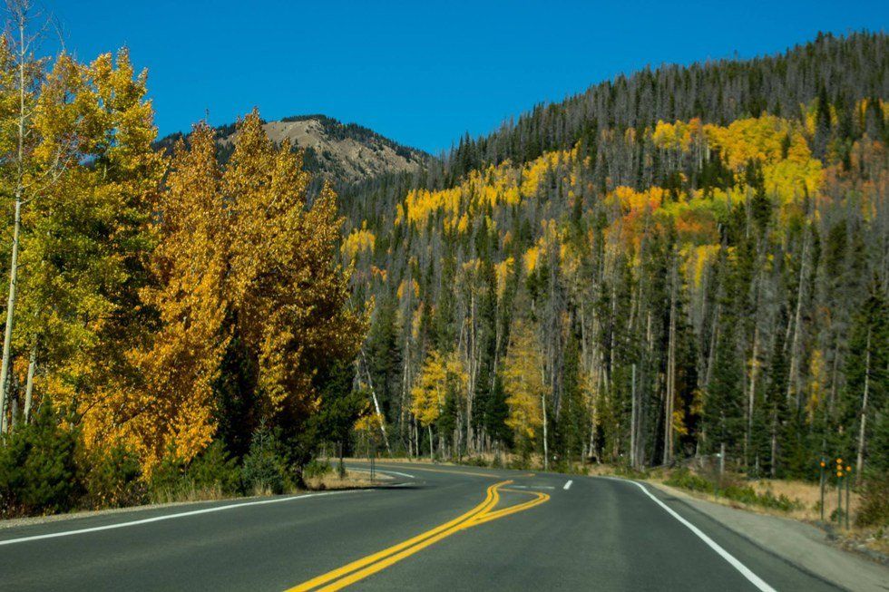 Division In The Nation