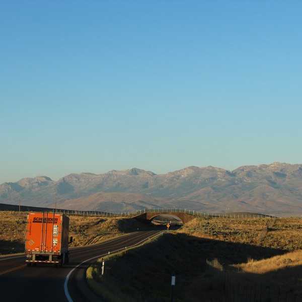 My Top 5 Road Trip Tips