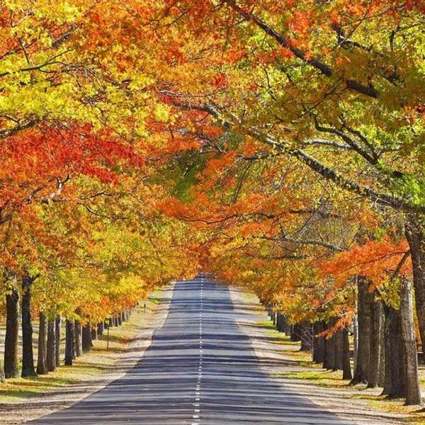 Why Seasonal Affective Disorder Information Is Important