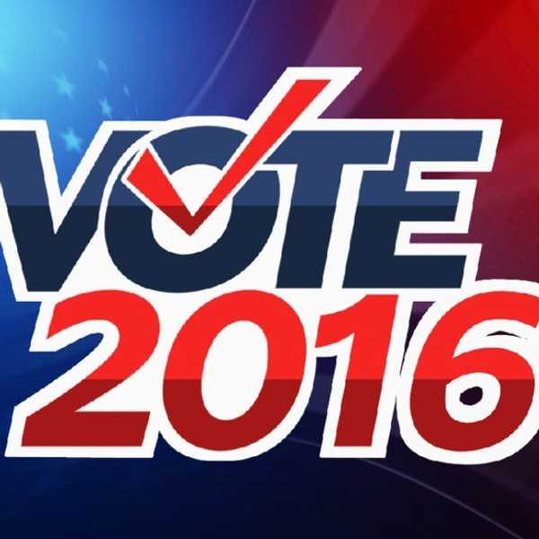 What Am I Voting For?
