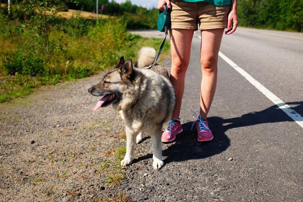 10 Reasons You Need a Dog in College