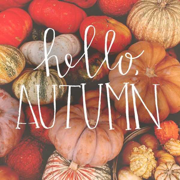 Why Fall Is The Best Season