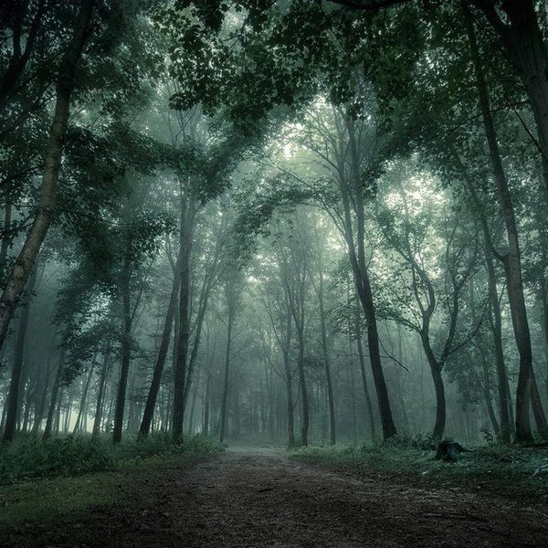 Top 10 Horror Movies To Watch This Fall