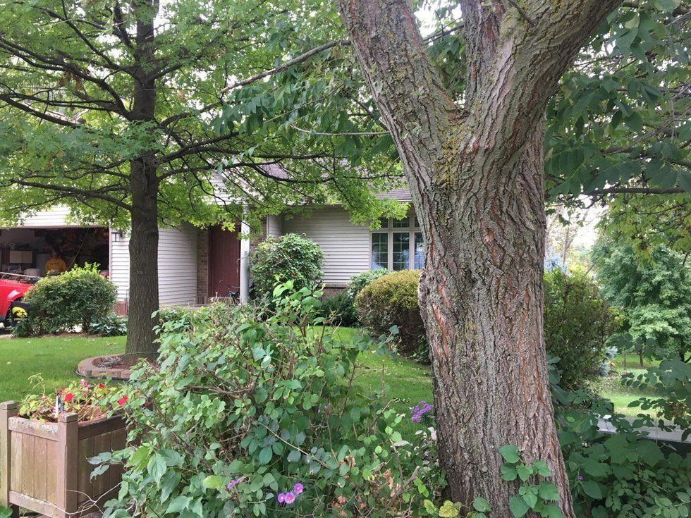 To My Childhood Home