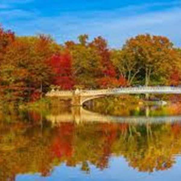 8 Things To Look Forward To About Fall Break