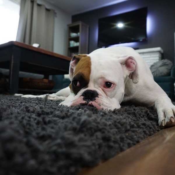 9 Things Lazy College Students Will Understand