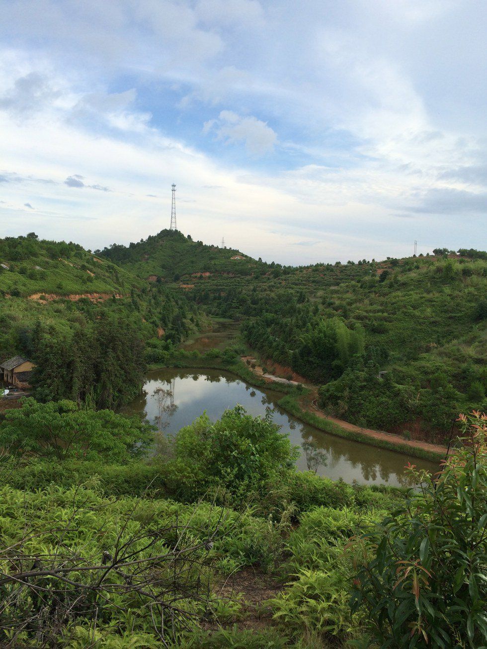 Up Close And Personal With A New Culture