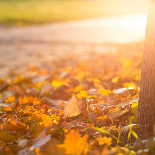 7 Reasons Why You Should Love The Fall Season