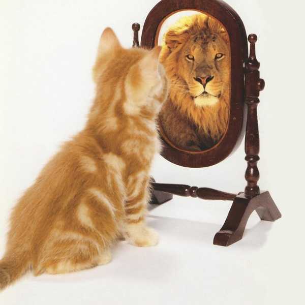 Our Understanding of Self