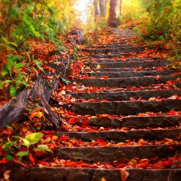 8 Reasons It Should Be Fall All Year Round