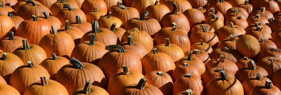 Pumpkin Spice Products Available This Fall