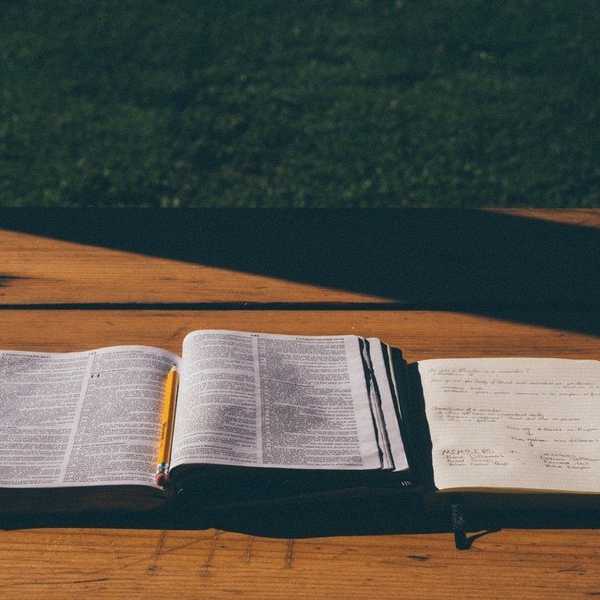 Why Do We Only Read Books Written By Dead White Men?